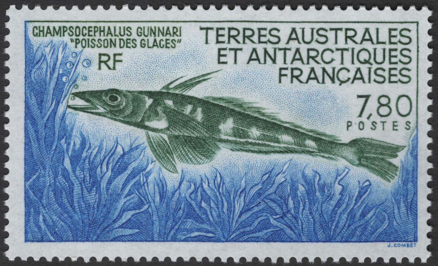 SCG3657 - 1988 TAAF Icefish Stamp – Champsocephalus gunnari