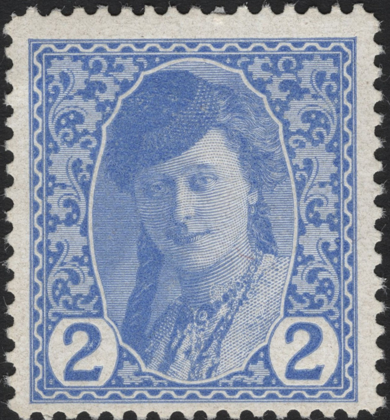 SCG3762 - Hungary 2 Filler Blue Stamp – Queen Elisabeth (1899)