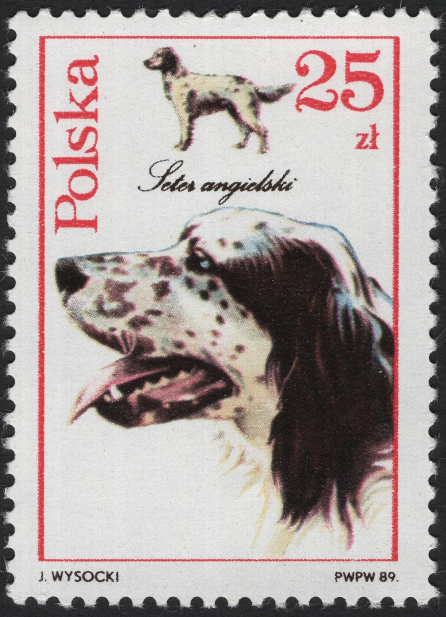 SCG3886 - Poland 1989 – English Setter Dog (Seter angielski)