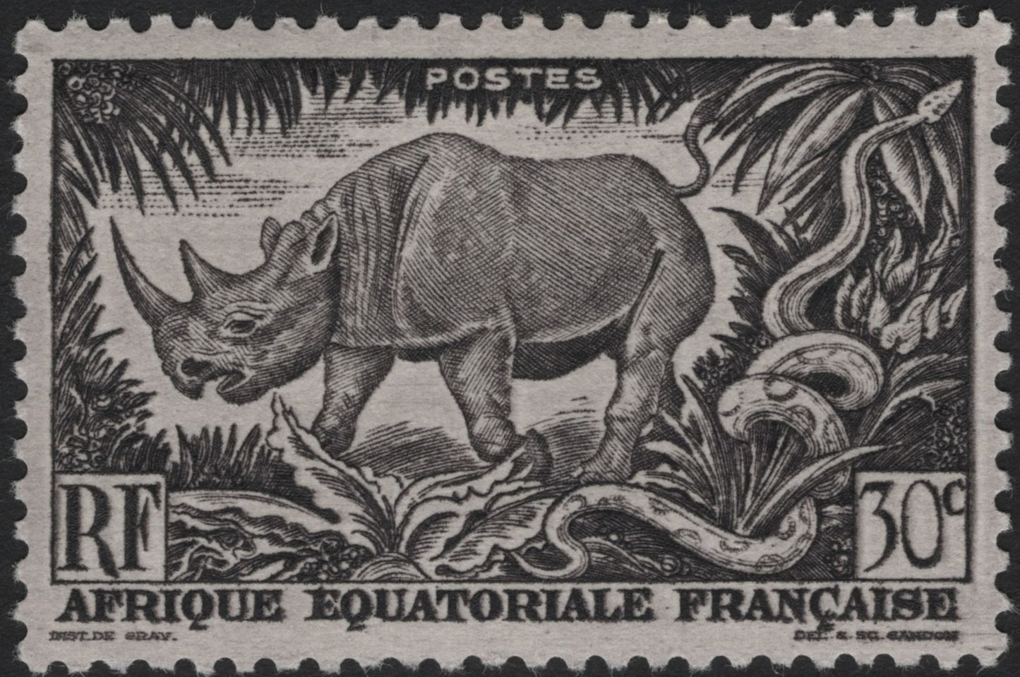 SCG3892 - 1937 French Equatorial Africa – Black Rhinoceros and Snake (30c)