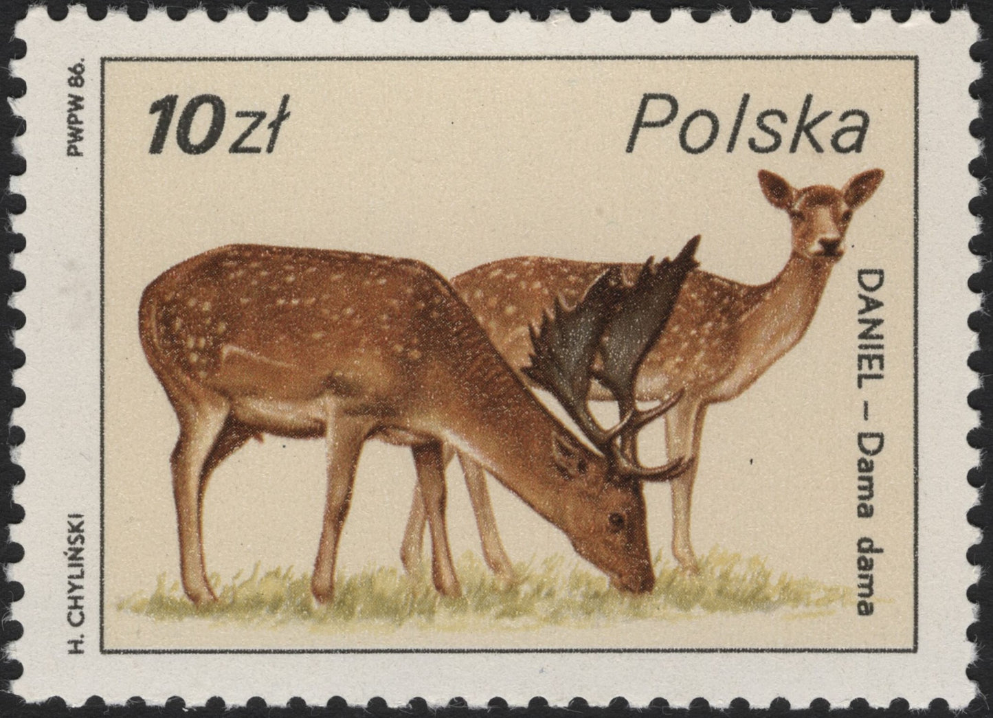 SCG3893 - Poland 1986 – Fallow Deer (Dama dama)