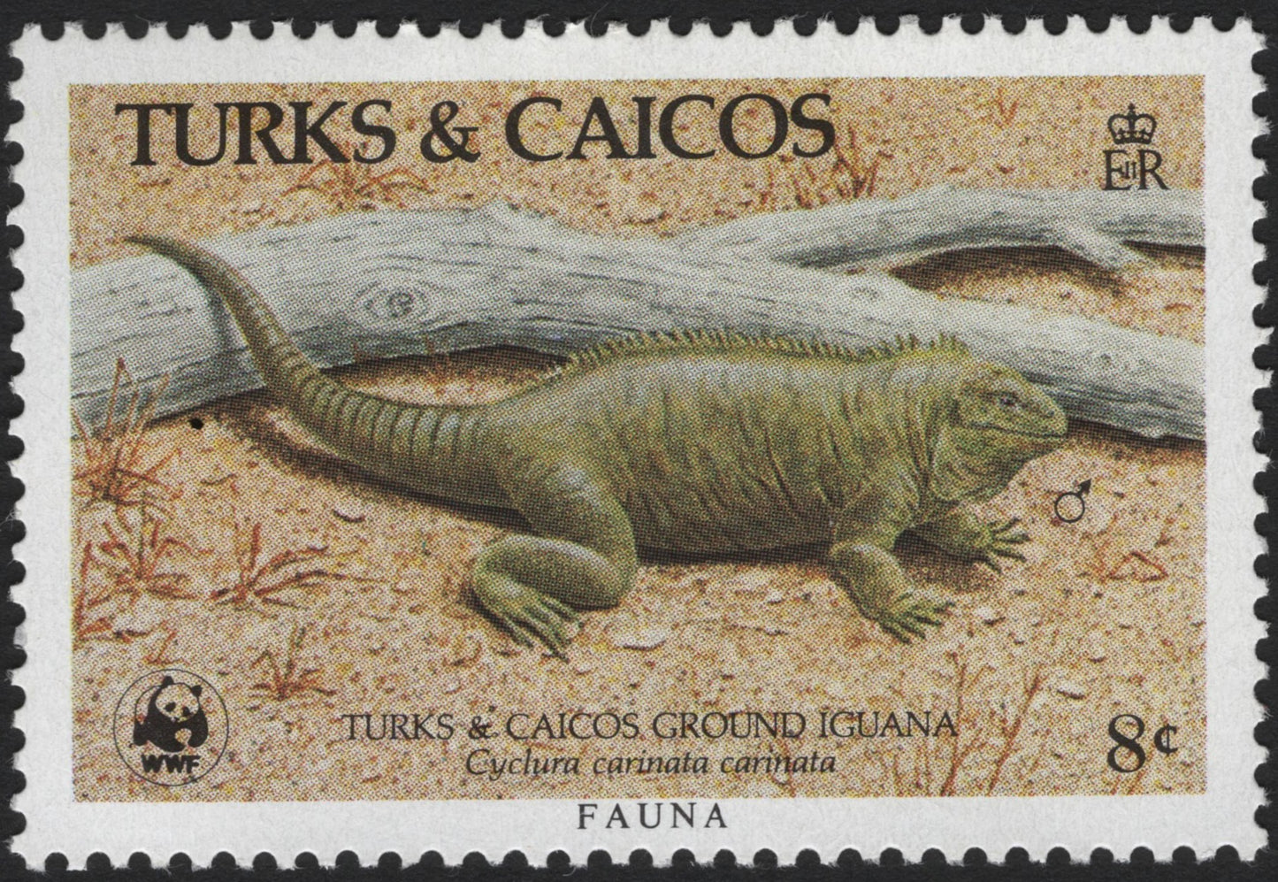 SCG3902 - Turks & Caicos – Ground Iguana (1985)