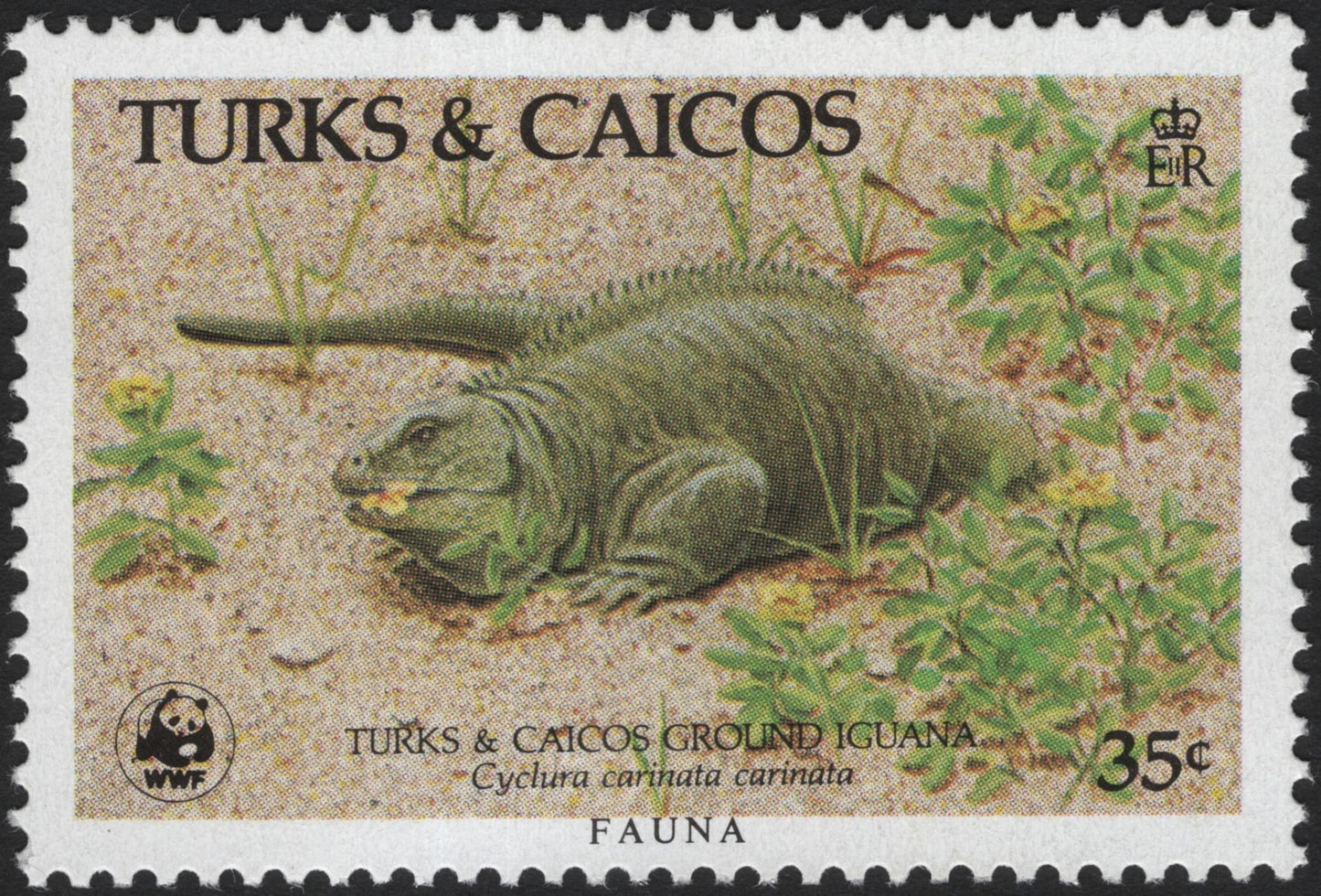 SCG3903 - Turks & Caicos – Ground Iguana (1985)