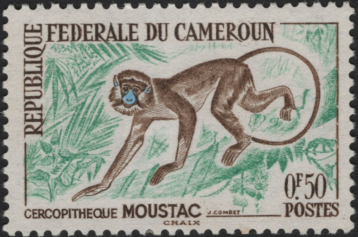 SCG3896 - Cameroon 1960s – Moustached Monkey (Cercopithecus Cephus)