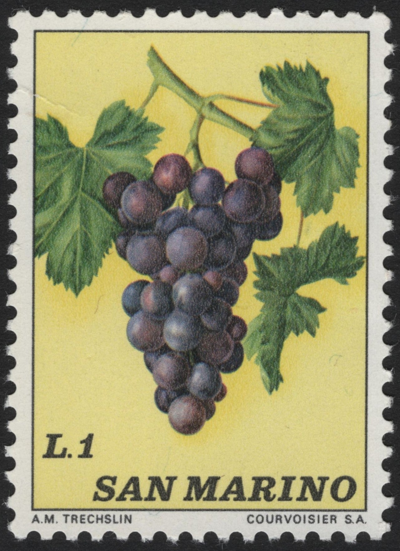 SCG4014 - San Marino 1 Lira Grapes Stamp