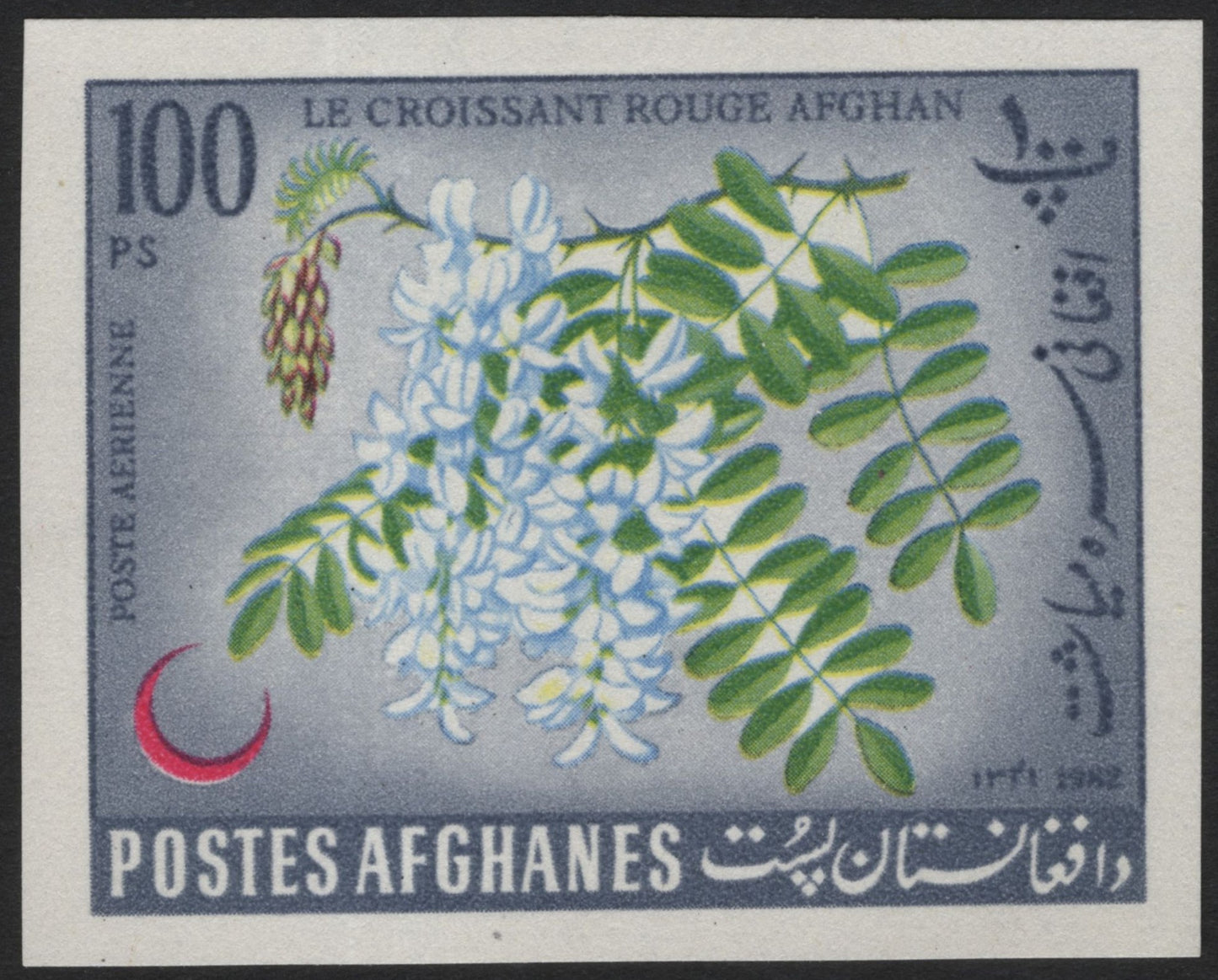 SCG4039 - Afghanistan 1962 – Afghan Red Crescent Airmail Stamp (100 Ps)