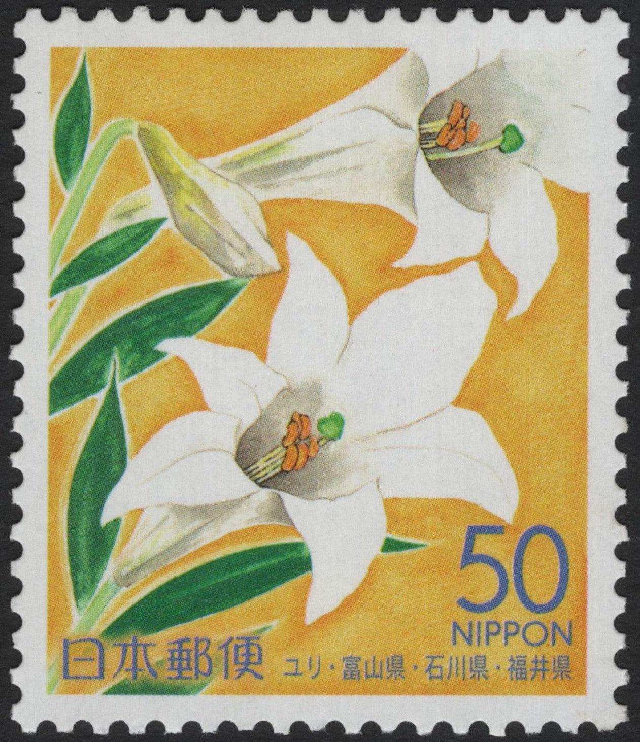 SCG4076 - Japan 1979 – Lily Flowers (Toyama, Ishikawa, Fukui Prefectures)