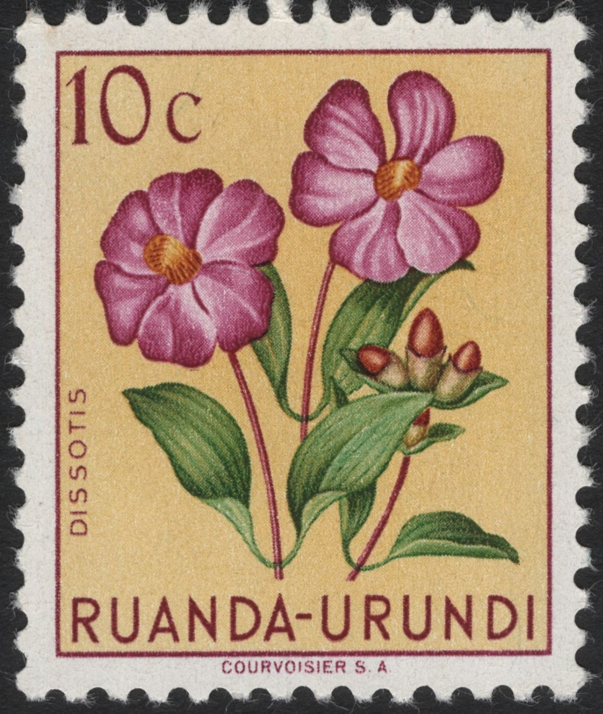SCG4081 - Ruanda-Urundi 1962 – 10c Dissotis Flower