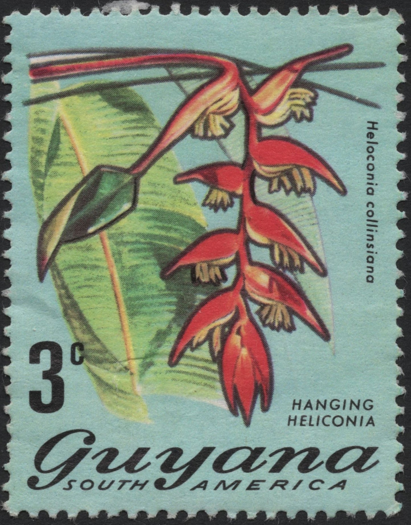 SCG4068 - Guyana 3¢ Hanging Heliconia (Heliconia collinsiana) – 1969
