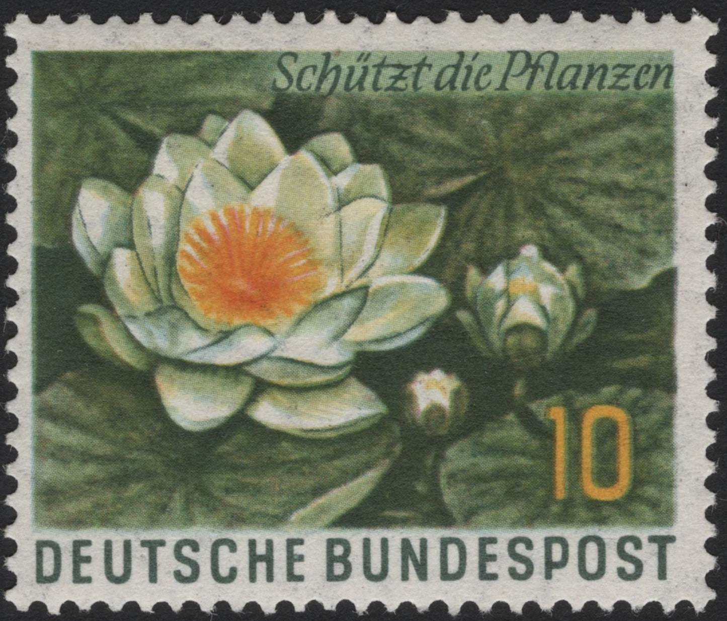 SCG4072 - Germany 1966 – Water Lily (Protect the Plants Series)