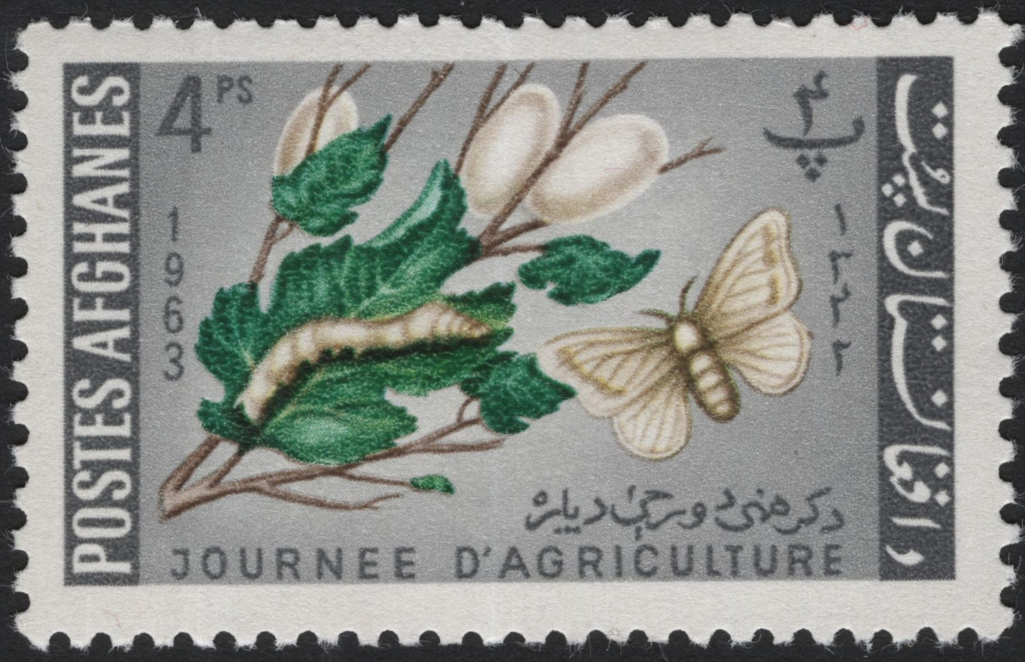 SCG4054 - Afghanistan 1963 – Agriculture Day (Silkworm & Silk Moth)