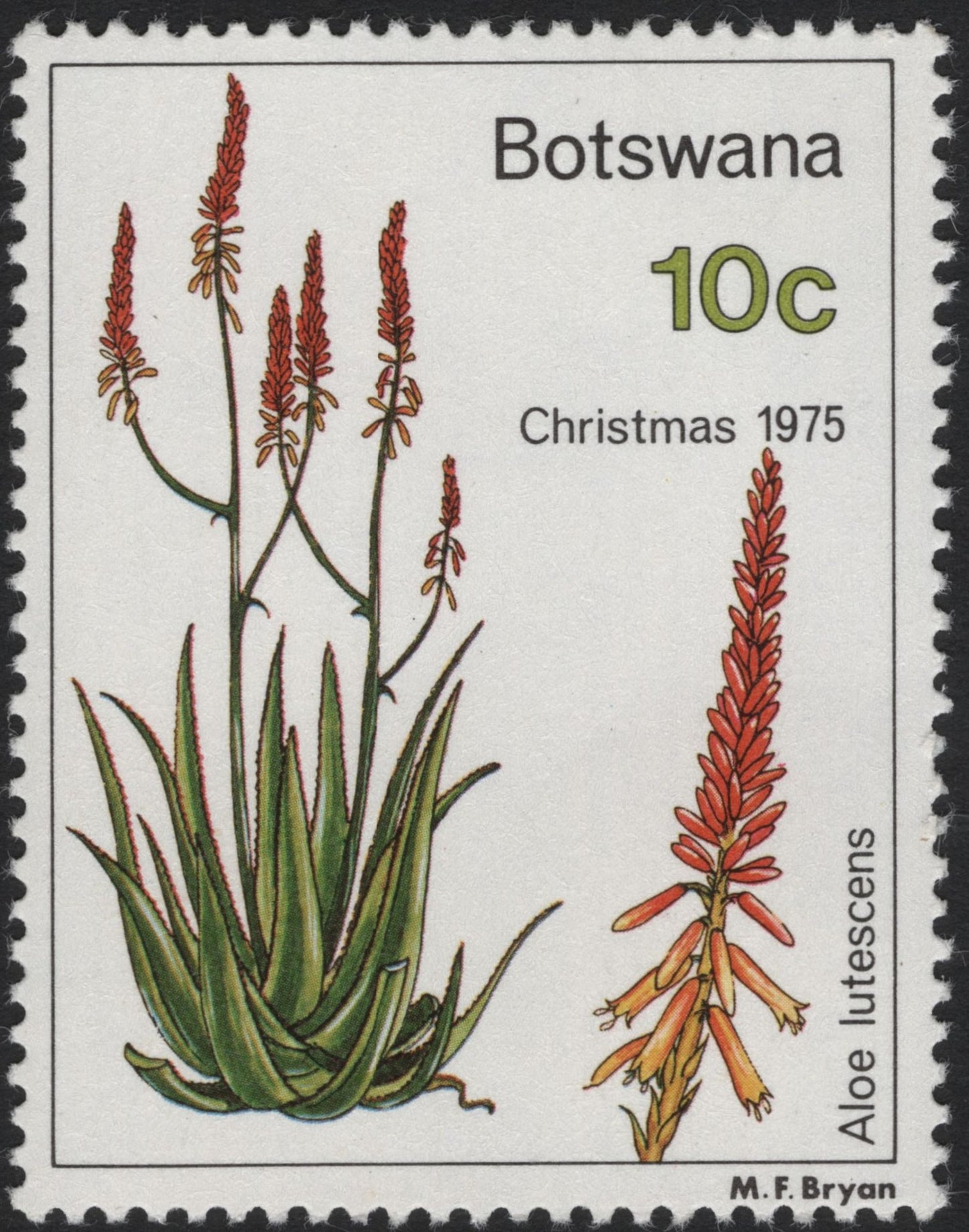 SCG4056 - Botswana 1975 – Aloe lutescens Christmas Issue (10c)