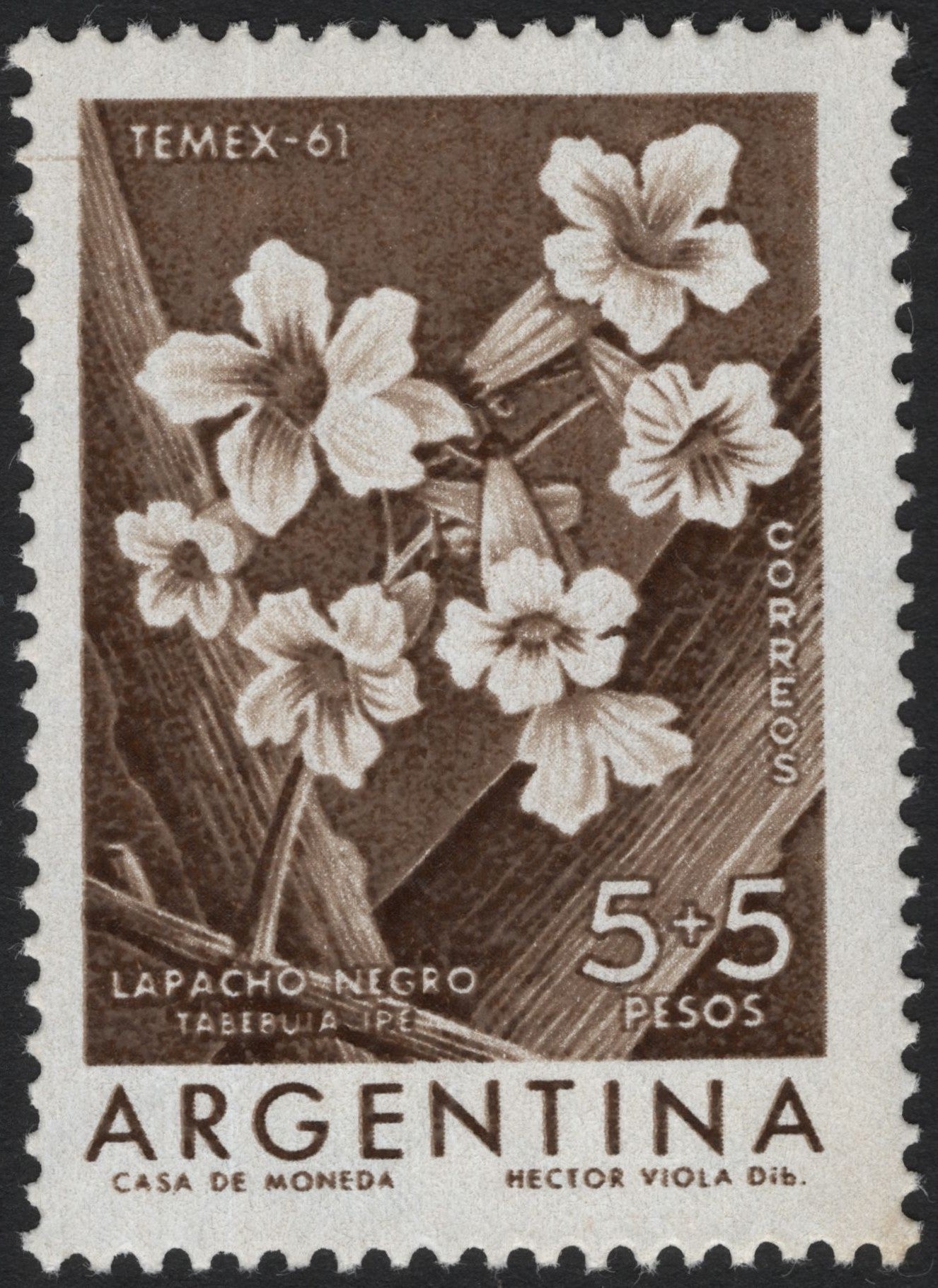 SCG4059 - Argentina 1961 – Lapacho Negro (Tabebuia ipe)