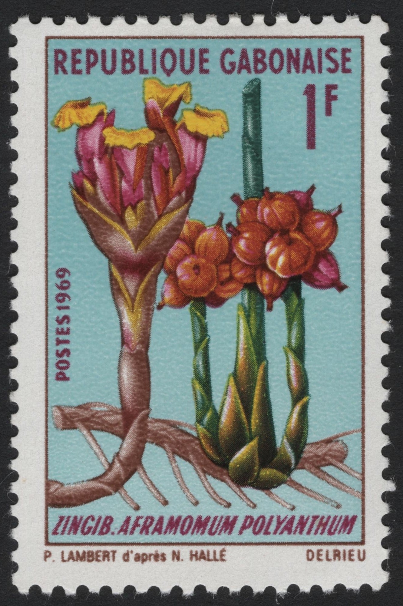 SCG4062 - Gabon 1969 – Aframomum Polyanthum (Zingiberaceae)