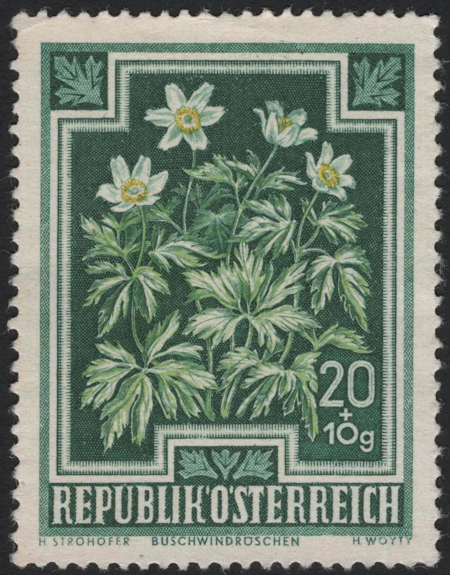 SCG4063 - Austria 1960 – Wood Anemone (Buschwindröschen) Semi-Postal Stamp