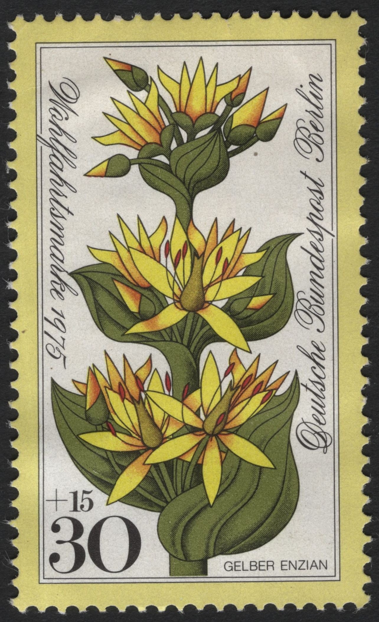 SCG4064 - Germany (Berlin) 1975 – Yellow Gentian (Gelber Enzian) Welfare Stamp