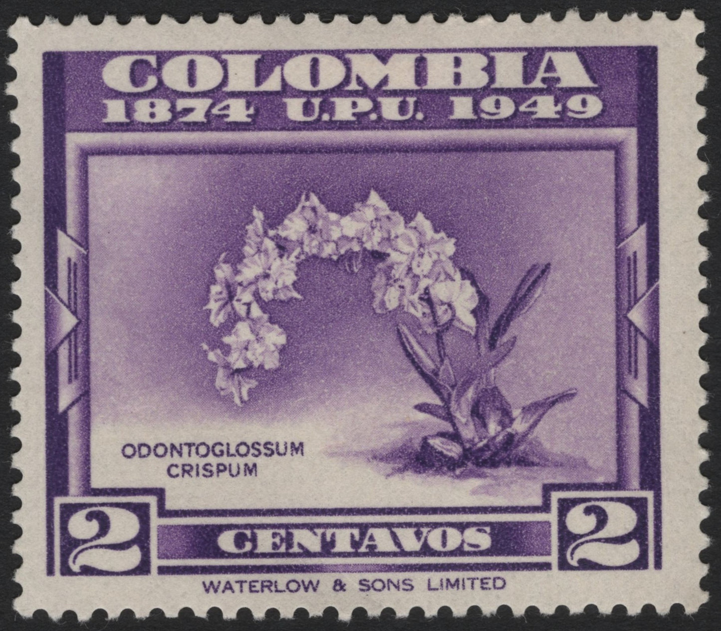 SCG4089 - Colombia 1949 – UPU 75th Anniversary (Odontoglossum Crispum)
