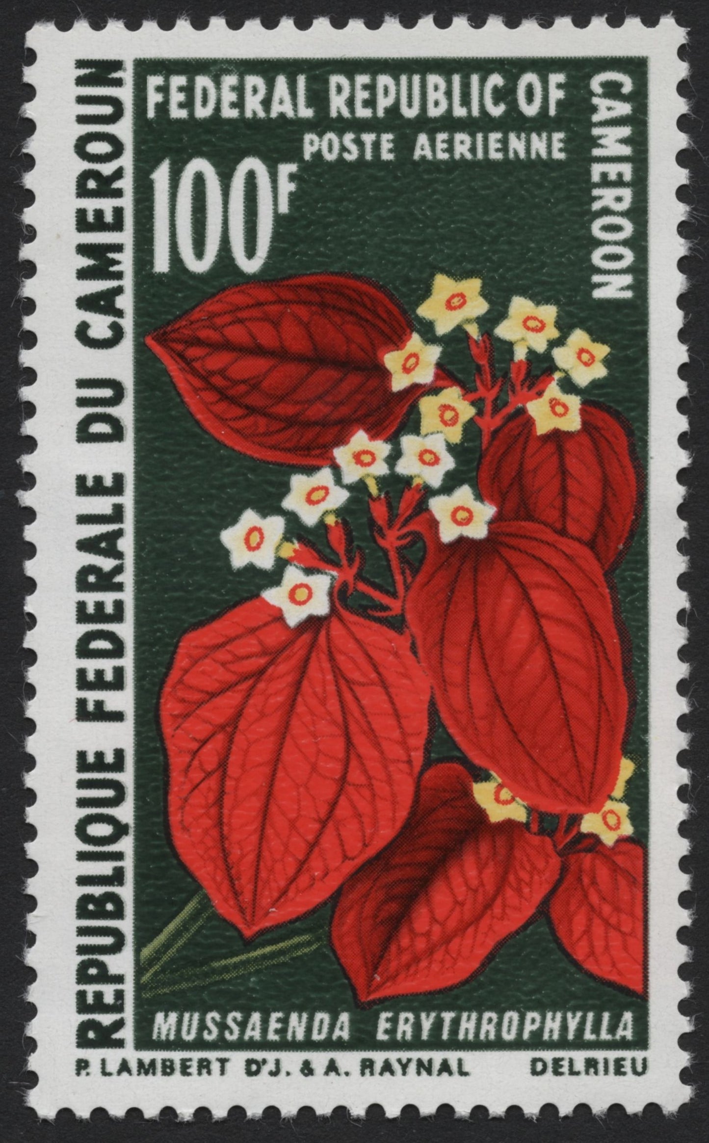 SCG4091 - Cameroon 1966 – Mussaenda erythrophylla (Red Flag Bush)