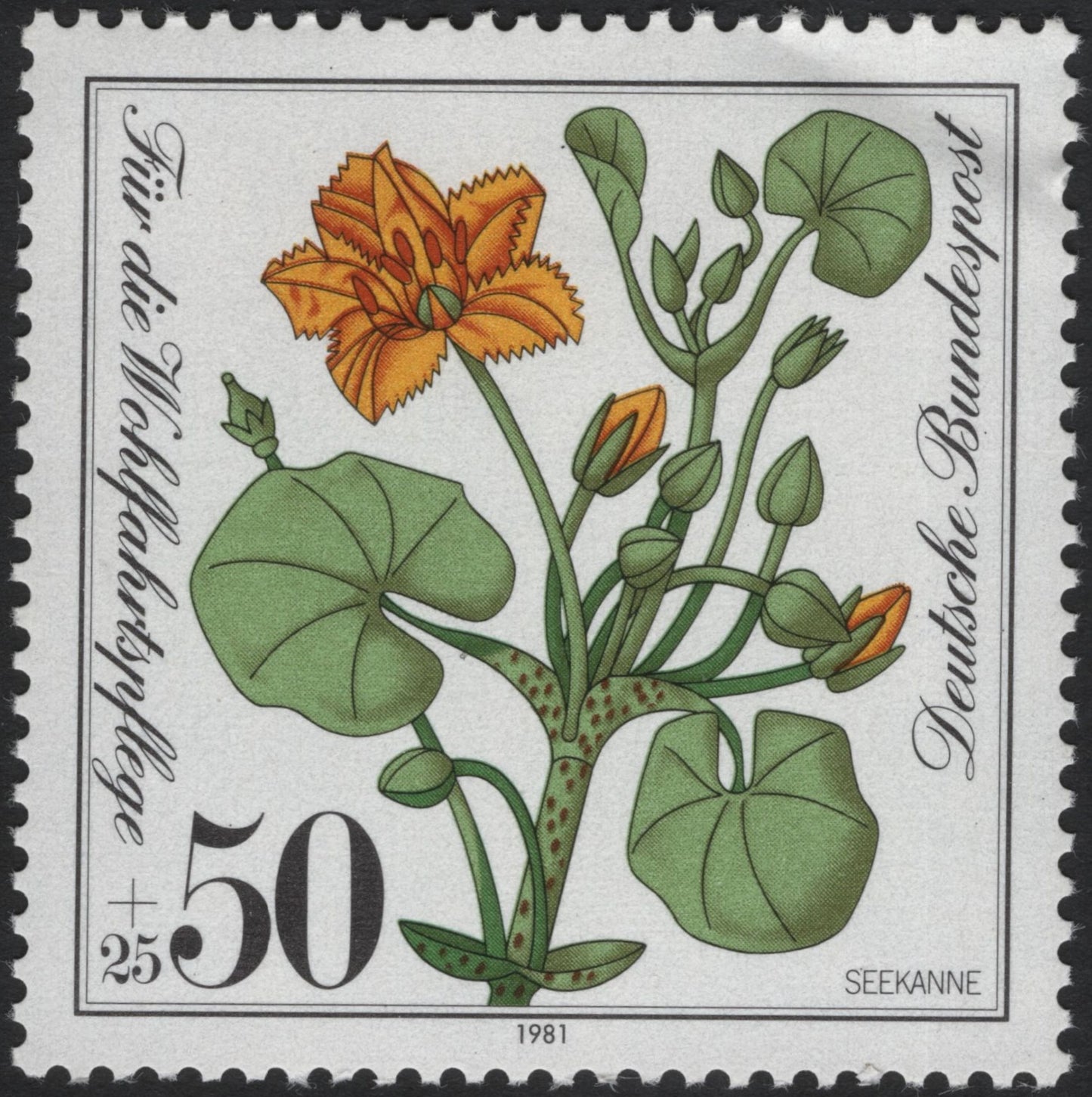 SCG4095 - Germany 1981 – Seekanne (Fringed Water Lily) – Welfare Issue