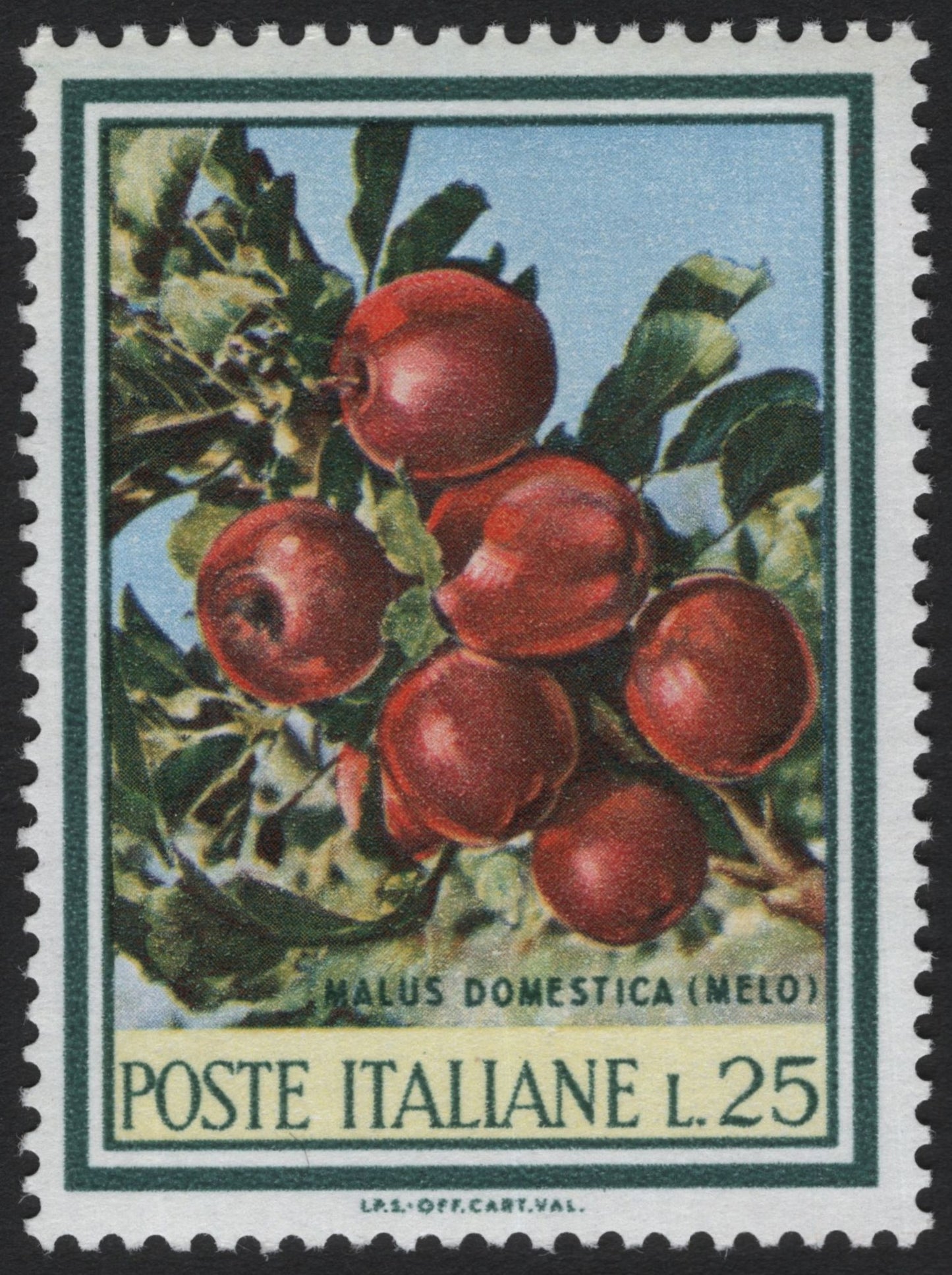 SCG4026 - Italy 1966 – Malus Domestica (Apple Tree) – 25 Lire