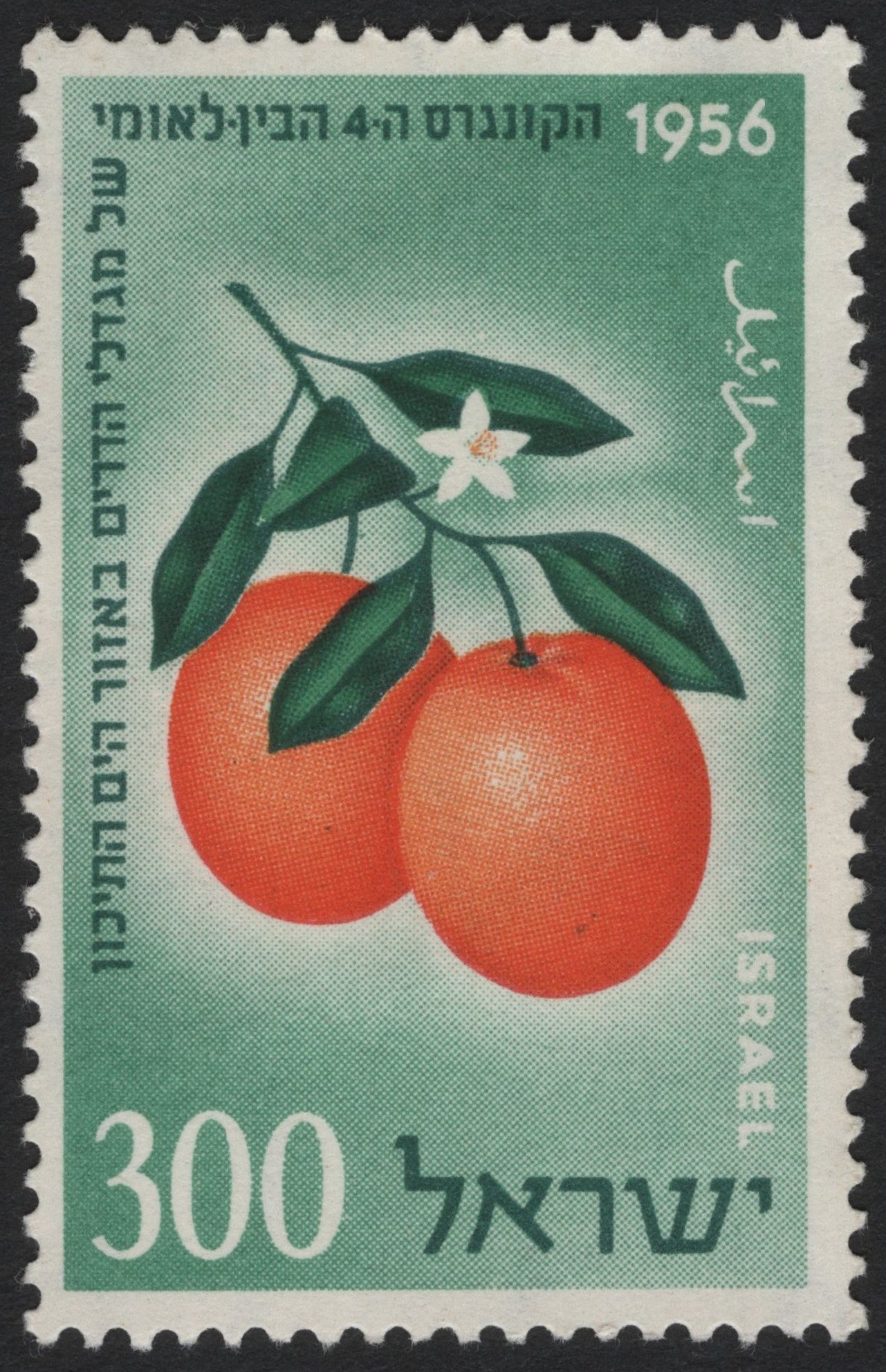 SCG4030 - Israel 1956 – Oranges, International Citrus Congress