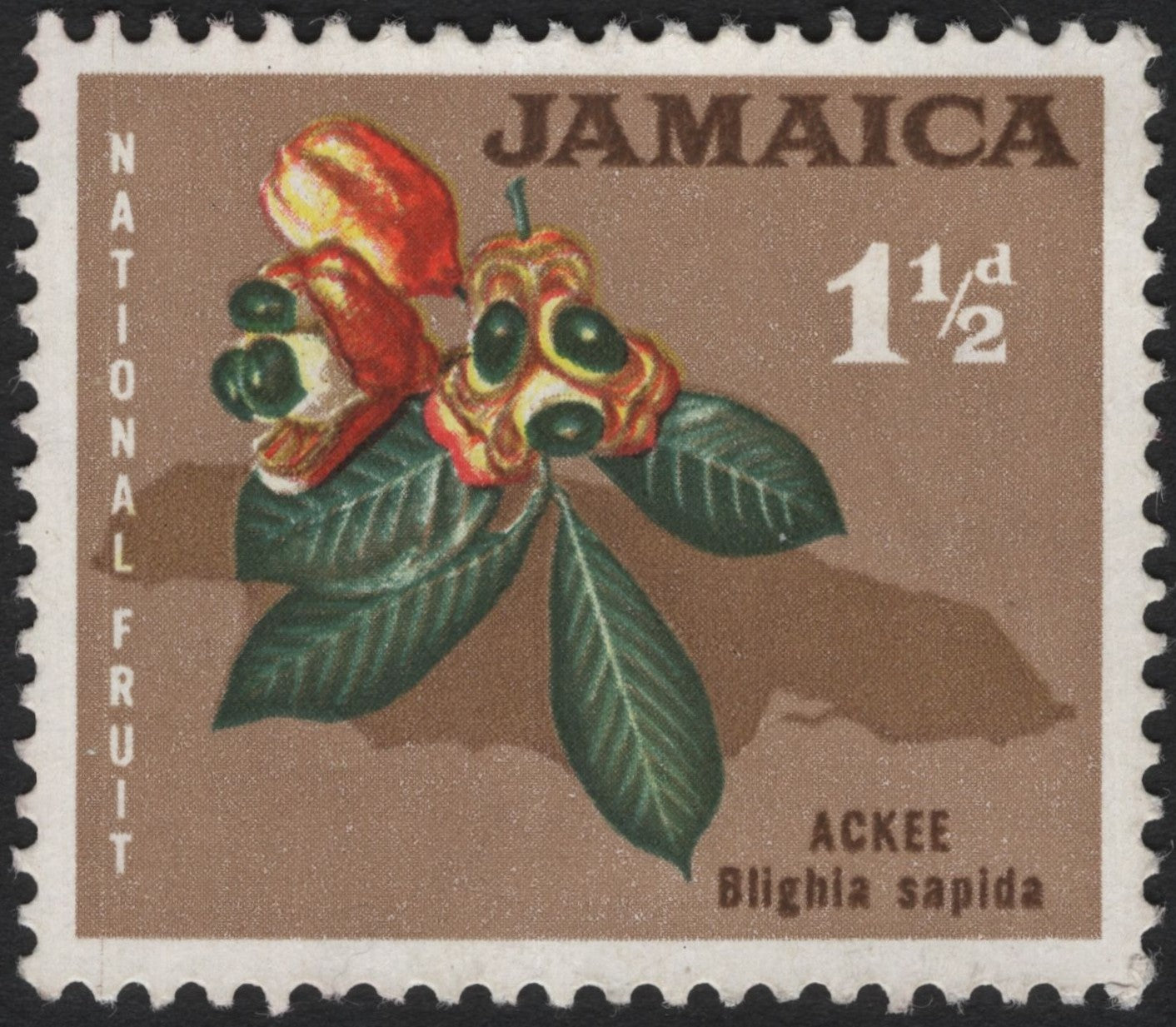 SCG4021 - Jamaica – Ackee National Fruit Stamp (1½d)