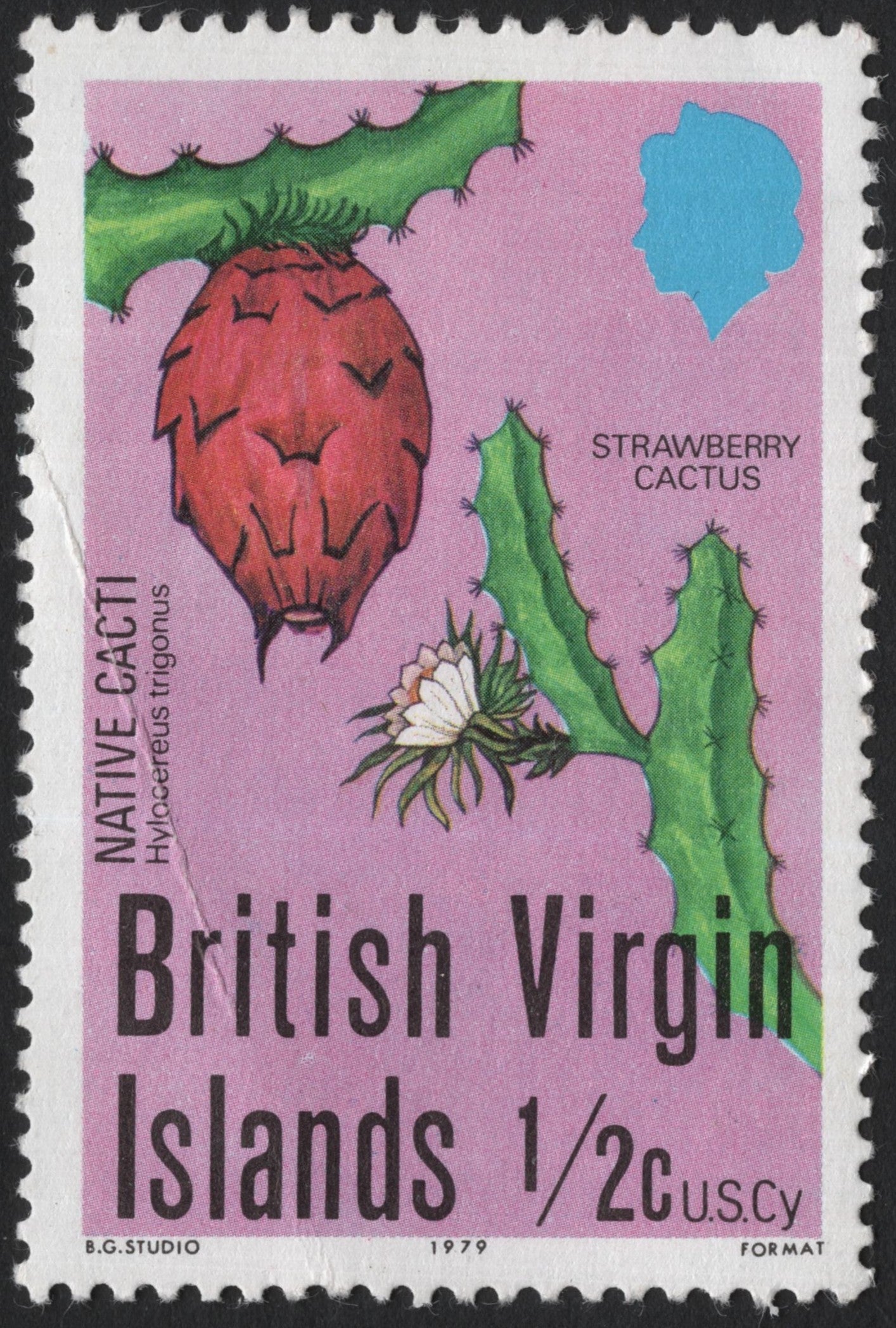 SCG4006 - British Virgin Islands 1979 – Strawberry Cactus (Hylocereus trigonus)