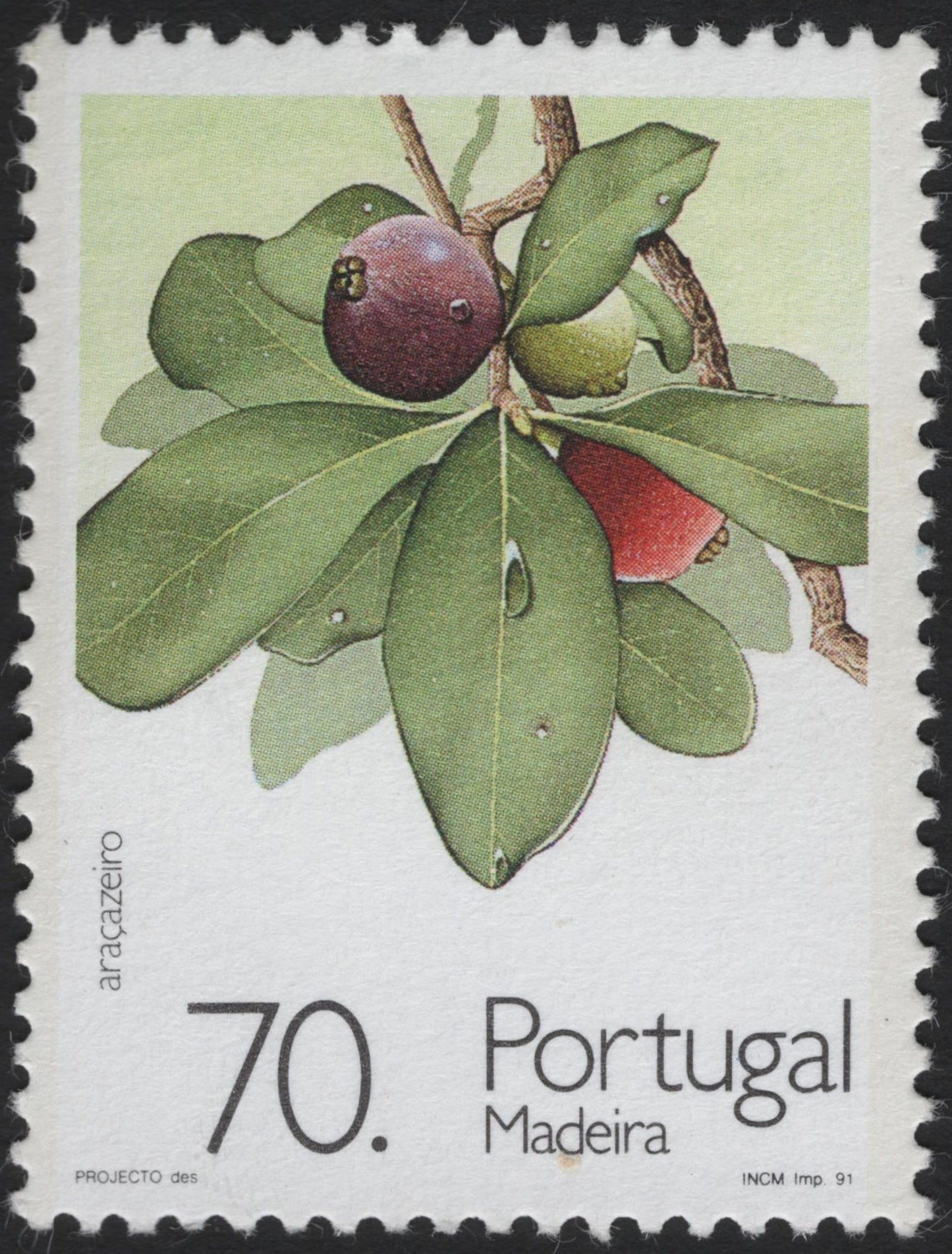 SCG4007 - Portugal – Madeira Araçazeiro Stamp (1991)
