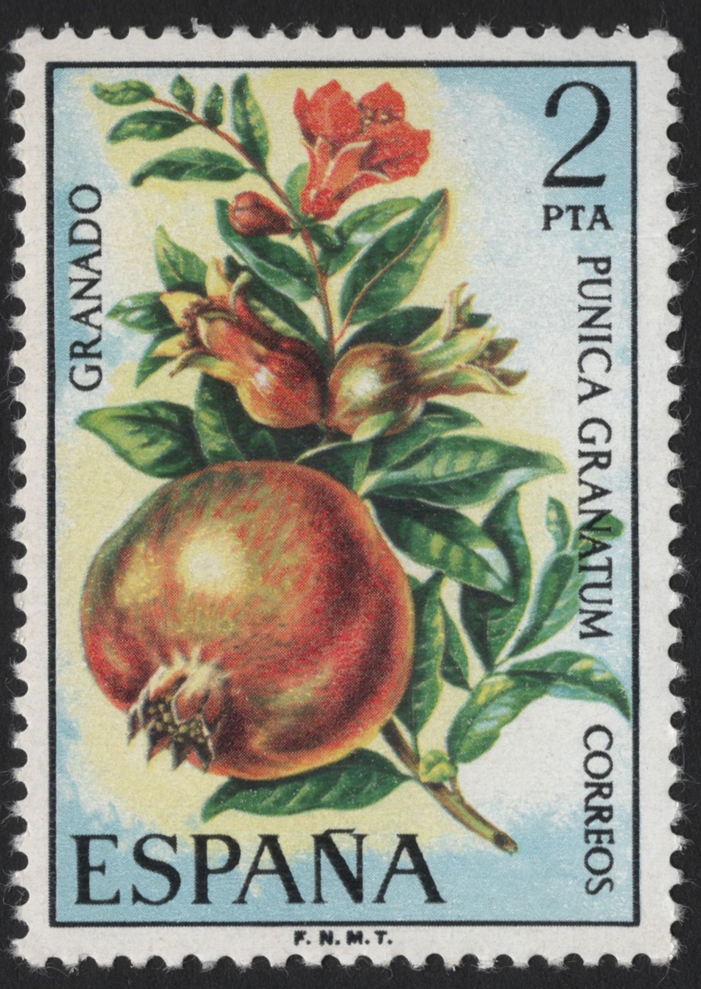 SCG4000 - Spain 1960s – Pomegranate (Granado) Stamp