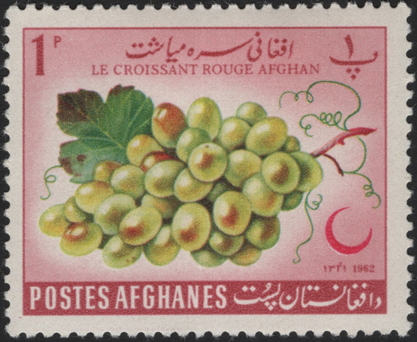 SCG4001 - Afghanistan 1962 – Red Crescent Grapes Stamp
