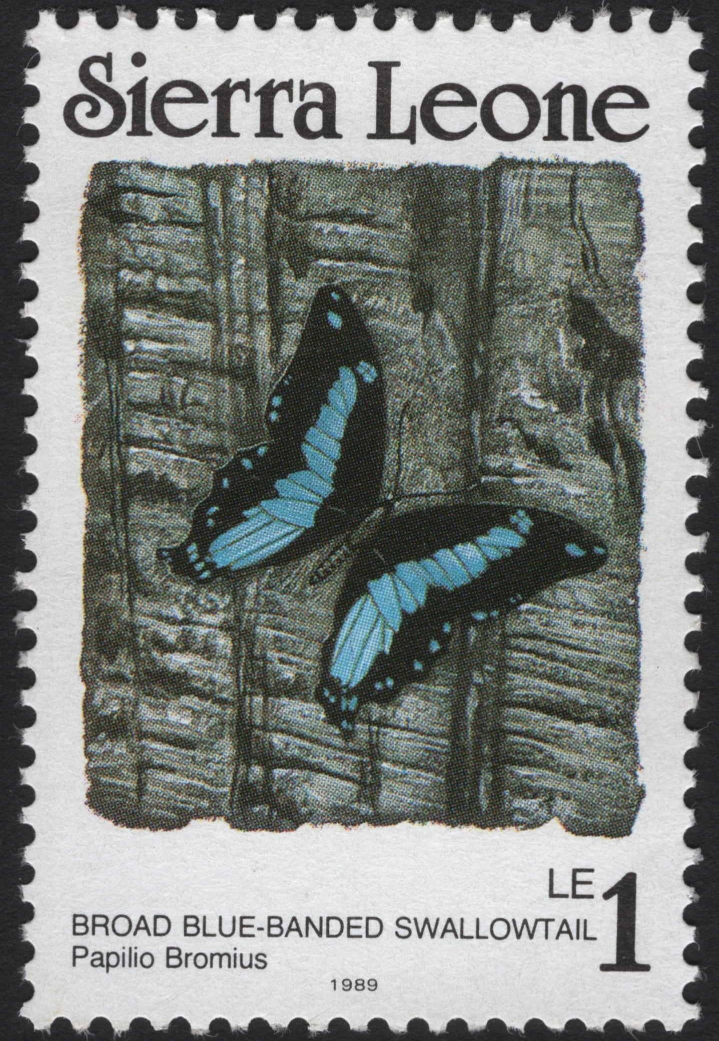 SCG4099 -Sierra Leone 1989 – Broad Blue-Banded Swallowtail