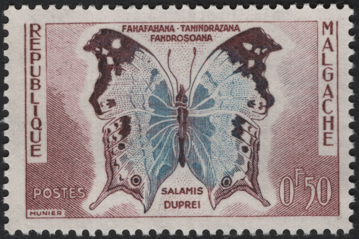 SCG4108 - Madagascar 1960 – Salamis duprei Butterfly