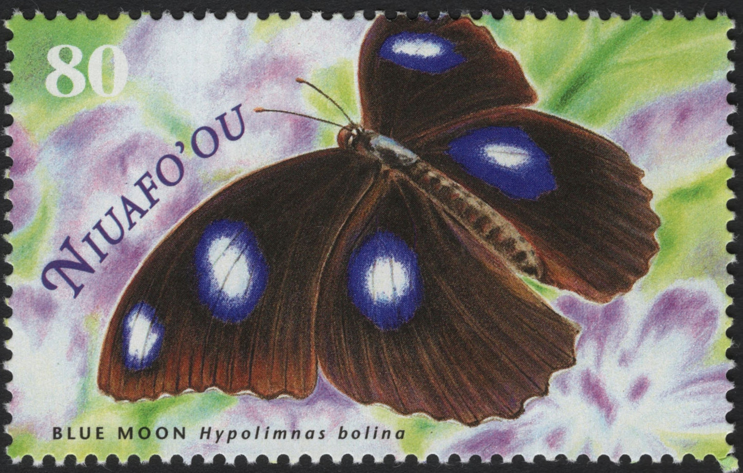 SCG4111 - Niuafoʻou 1980s – Blue Moon Butterfly (Hypolimnas bolina)