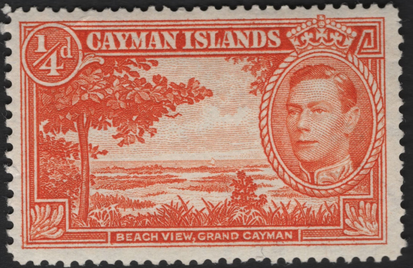 SCG4388 - Cayman Islands 1938–48 King George VI ¼d "Beach View, Grand Cayman" Stamp
