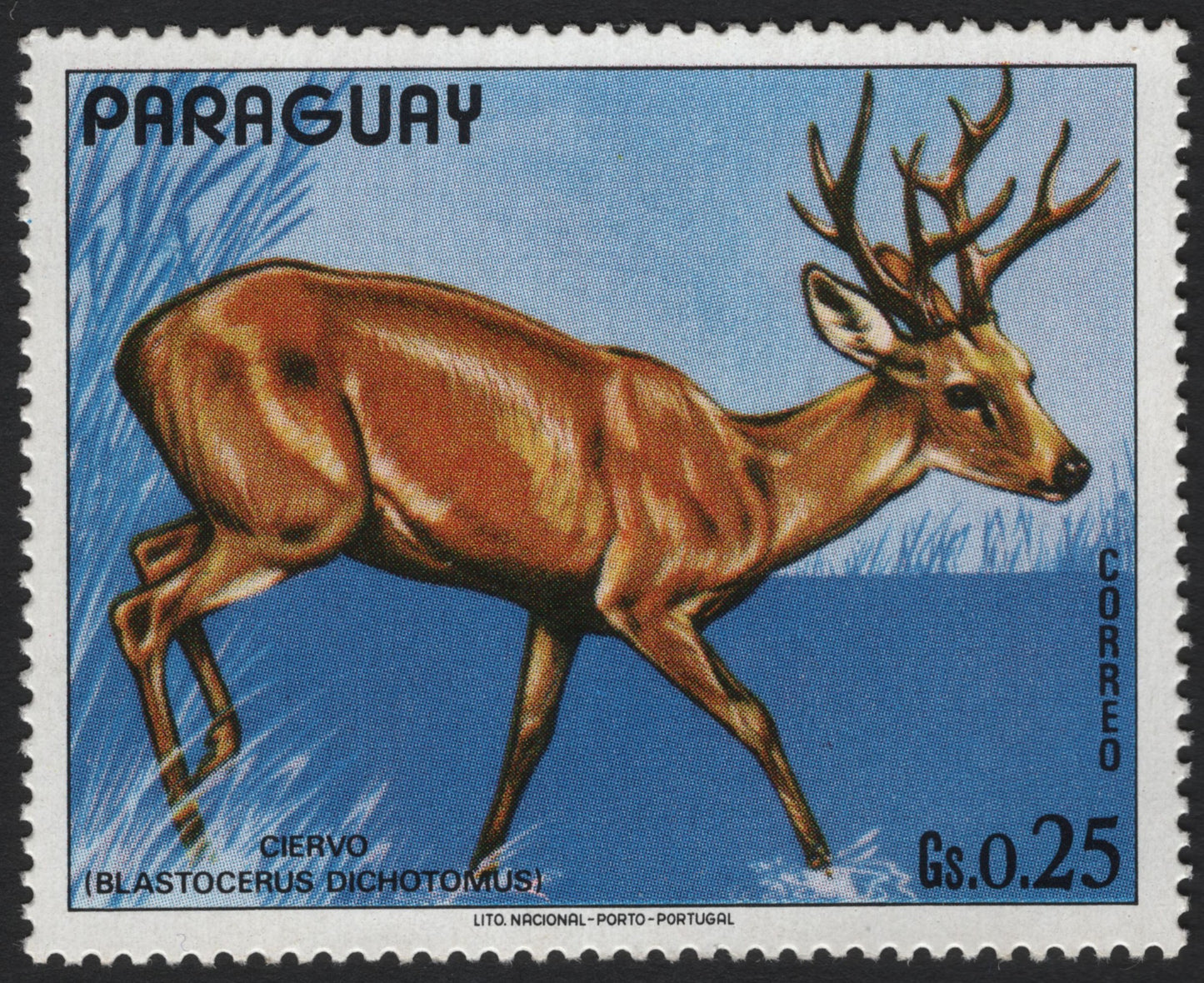 SCG4649 - Paraguay 1960s Marsh Deer Stamp – 0.25 Guaraní