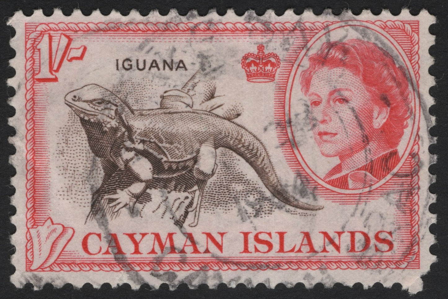 SCG4777 - Cayman Islands 1 Shilling – Iguana and Queen Elizabeth II (1953–62 Wildlife Definitive)