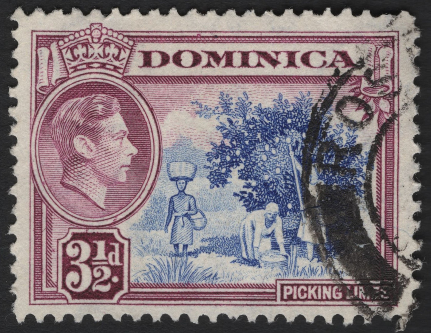 SCG4876 - Dominica 1938–47 3½d King George VI – Picking Limes