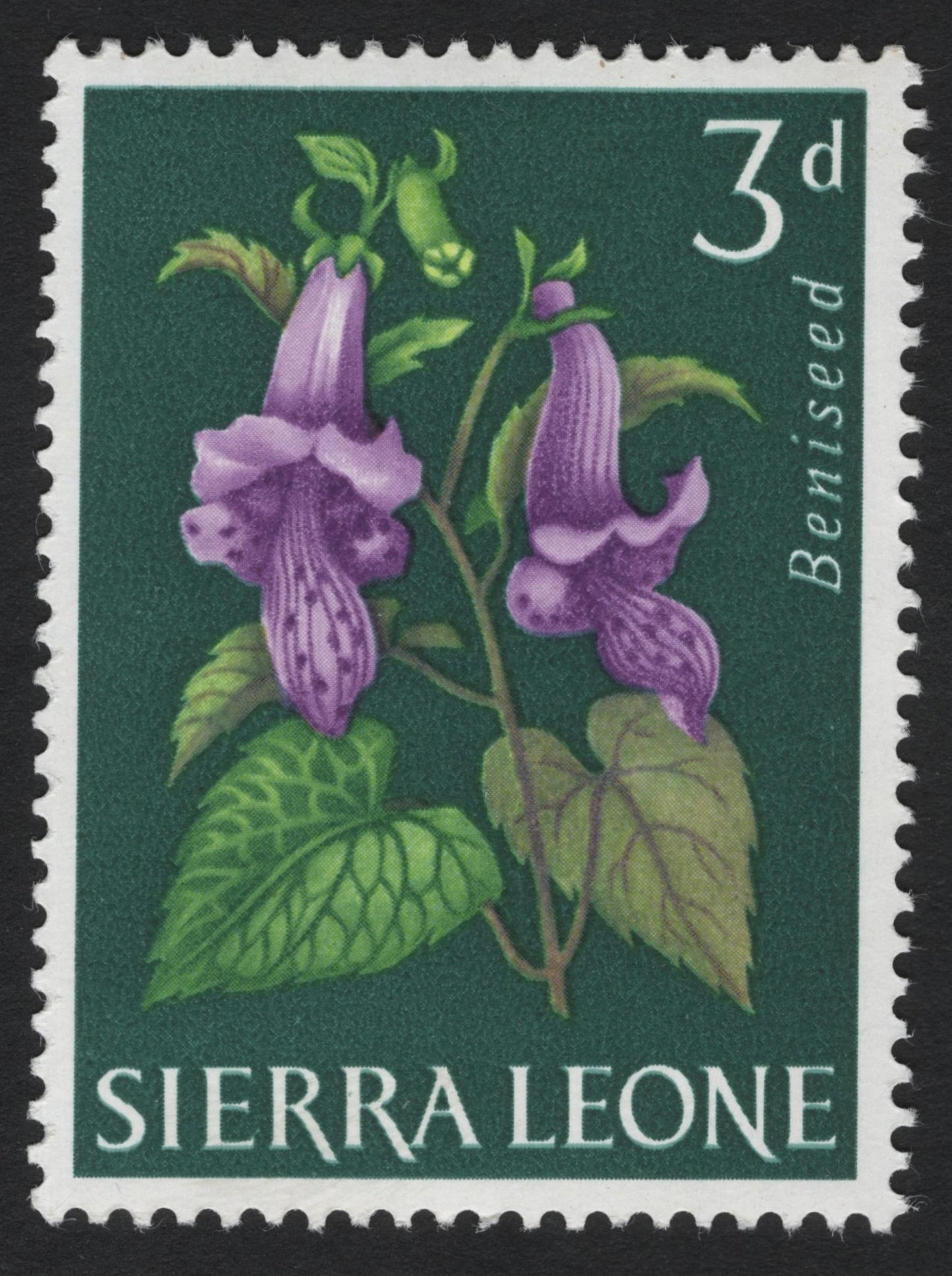 SCG5104 - Sierra Leone 3d Beniseed Flower Stamp