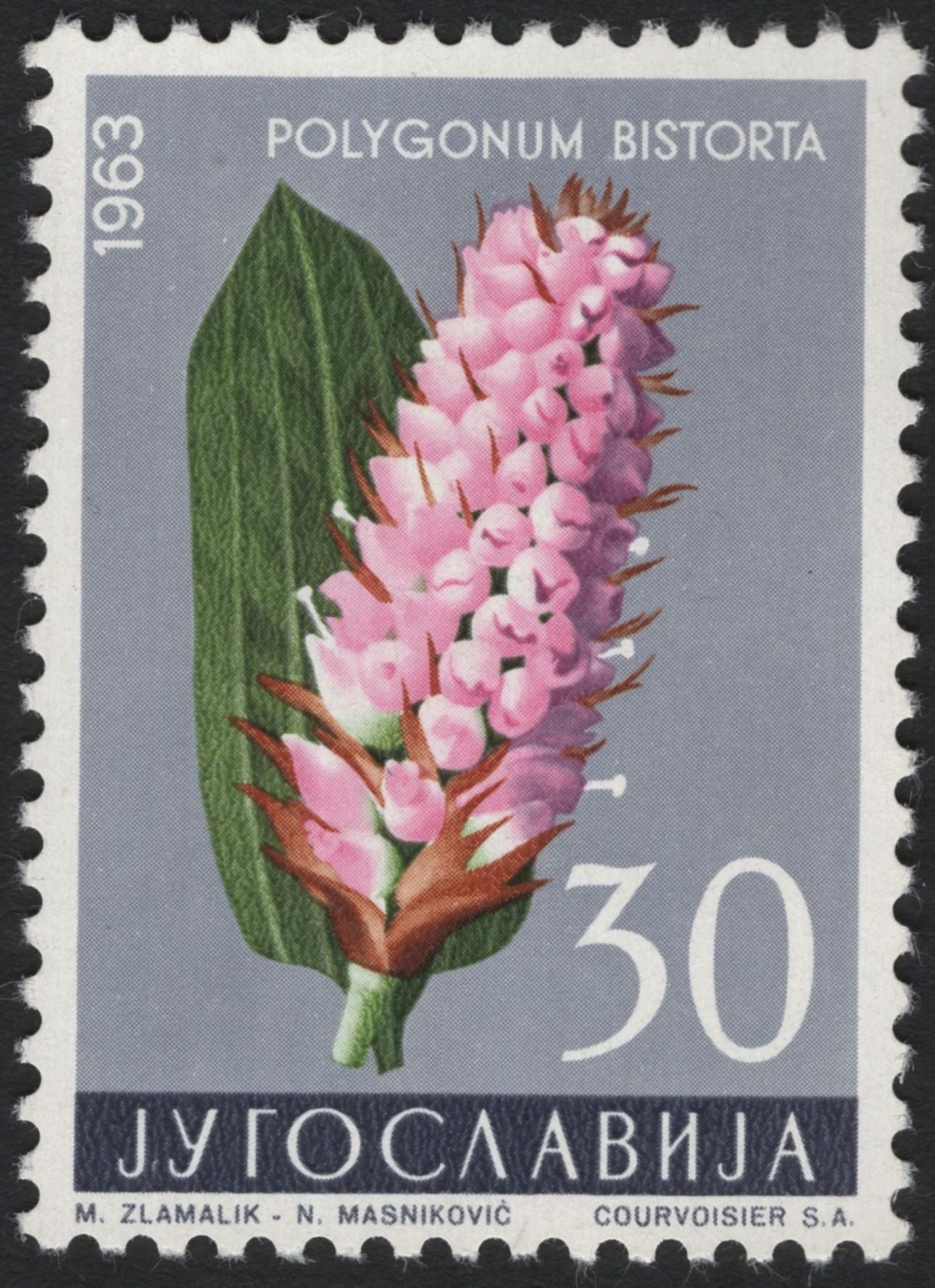 SCG5068 - Yugoslavia 1963 Medicinal & Decorative Flowers Set