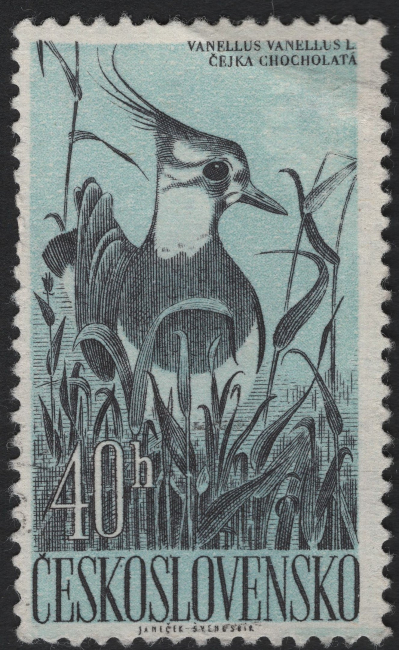 SCG5982 - Czechoslovakia 40h Lapwing Stamp – Vanellus vanellus