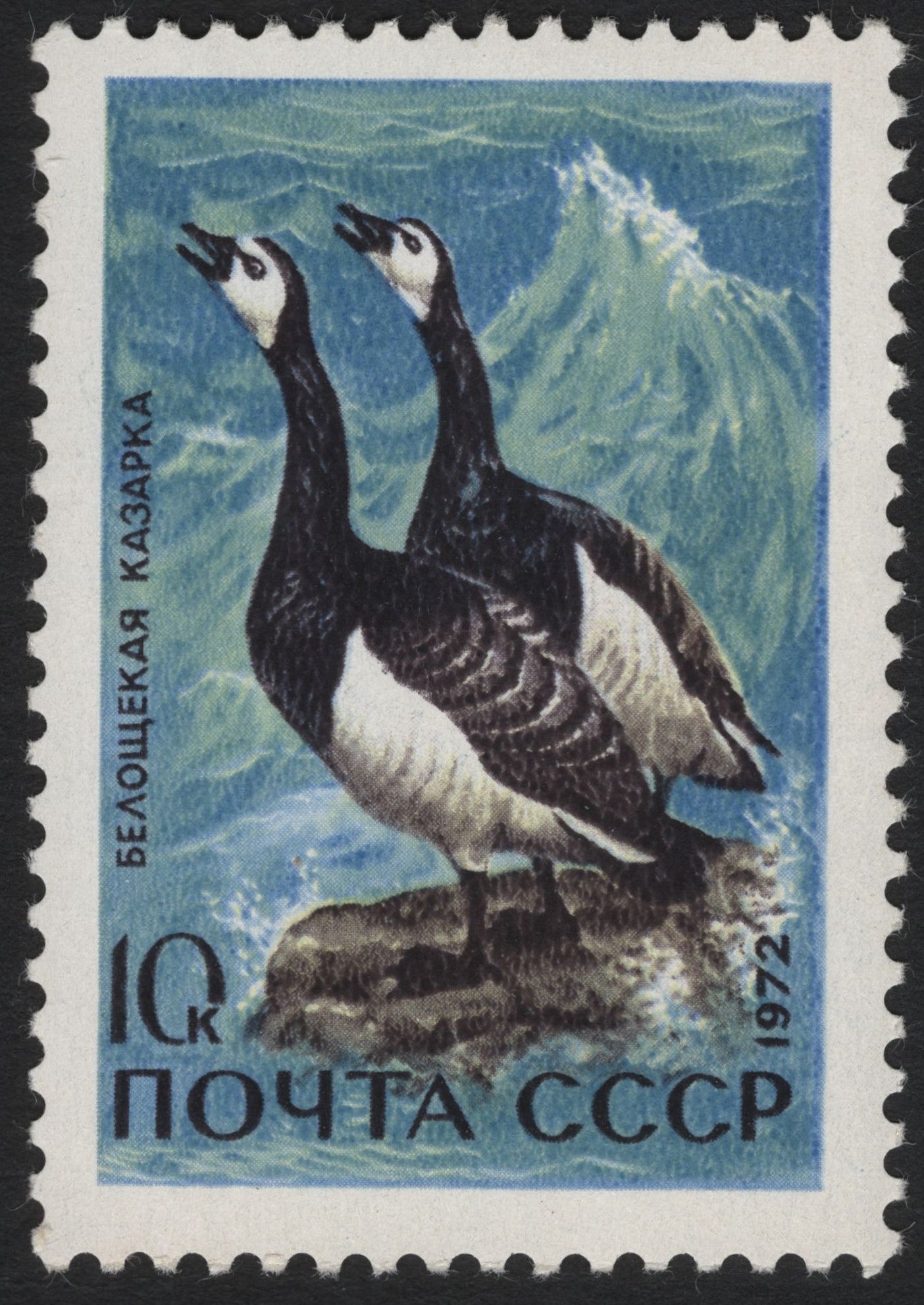 SCG5983 - USSR 1972 – Barnacle Geese (Branta leucopsis)