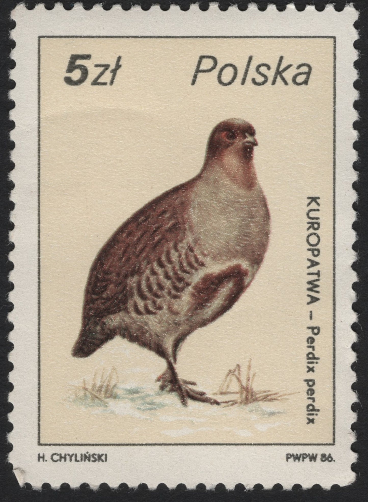 SCG5988 - Poland 1986 – Grey Partridge (Perdix perdix)