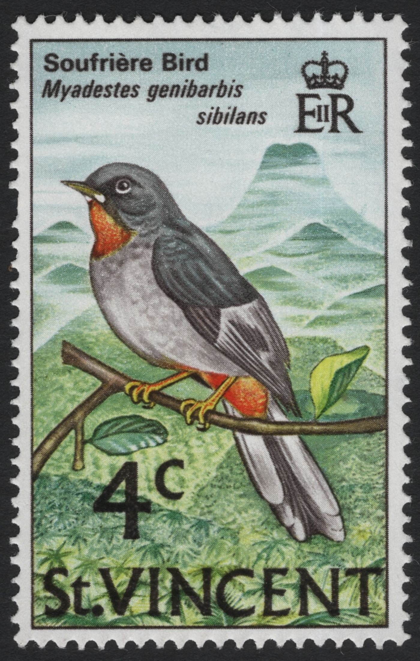 SCG5989 - St. Vincent 4¢ Soufrière Bird (Myadestes genibarbis sibilans)