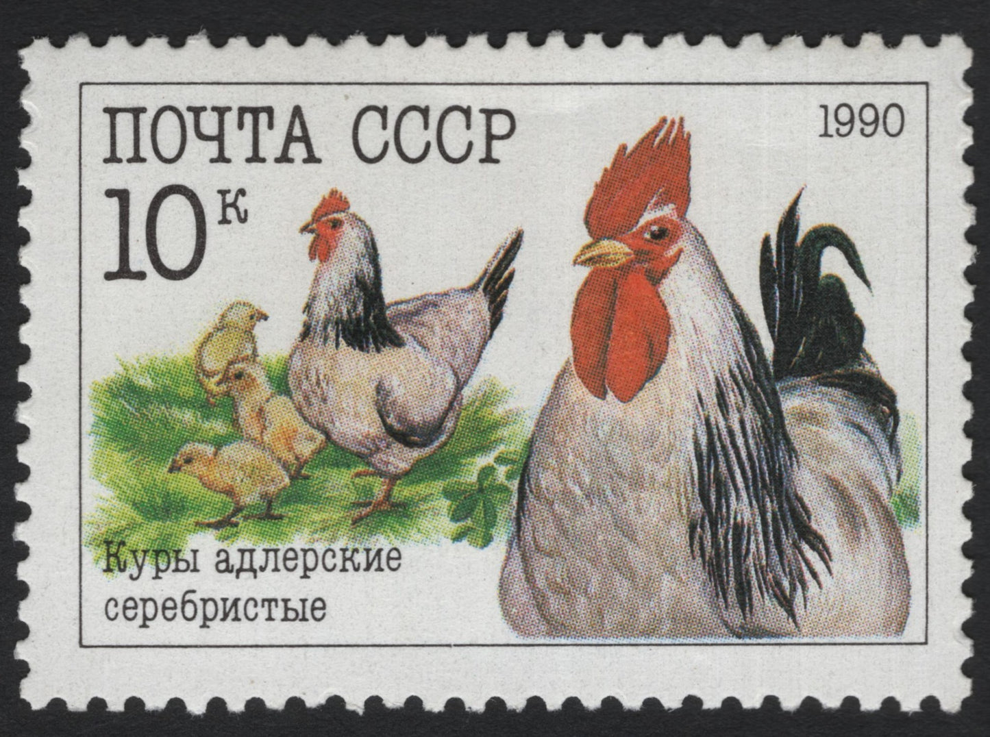 SCG5993 - USSR 1990 – Adler Silver Chickens (10 Kopecks)