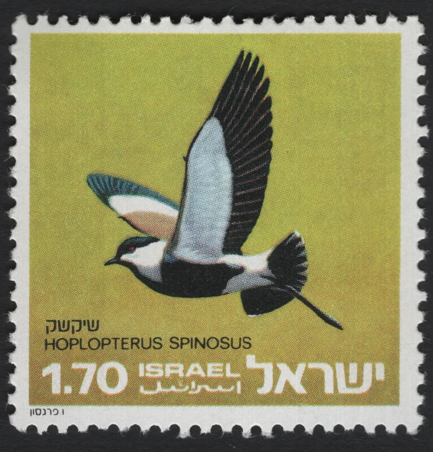 SCG6009 - Israel 1.70L Spur-winged Lapwing Stamp (Hoplopterus spinosus)
