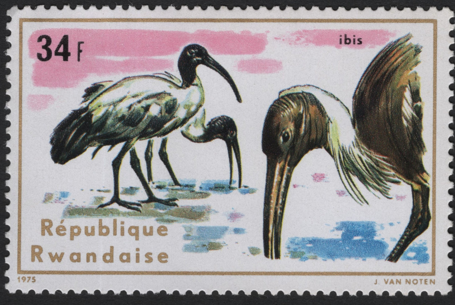 SCG6016 - Rwanda 1975 Ibis Stamp – 34 Francs