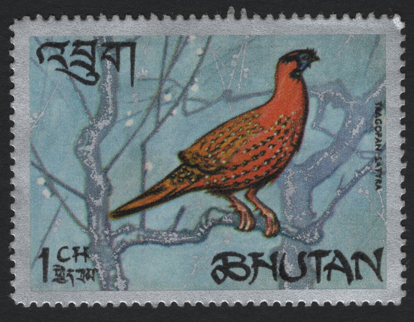 SCG6018 - Bhutan 1 Chhetrum “Blood Pheasant” Stamp