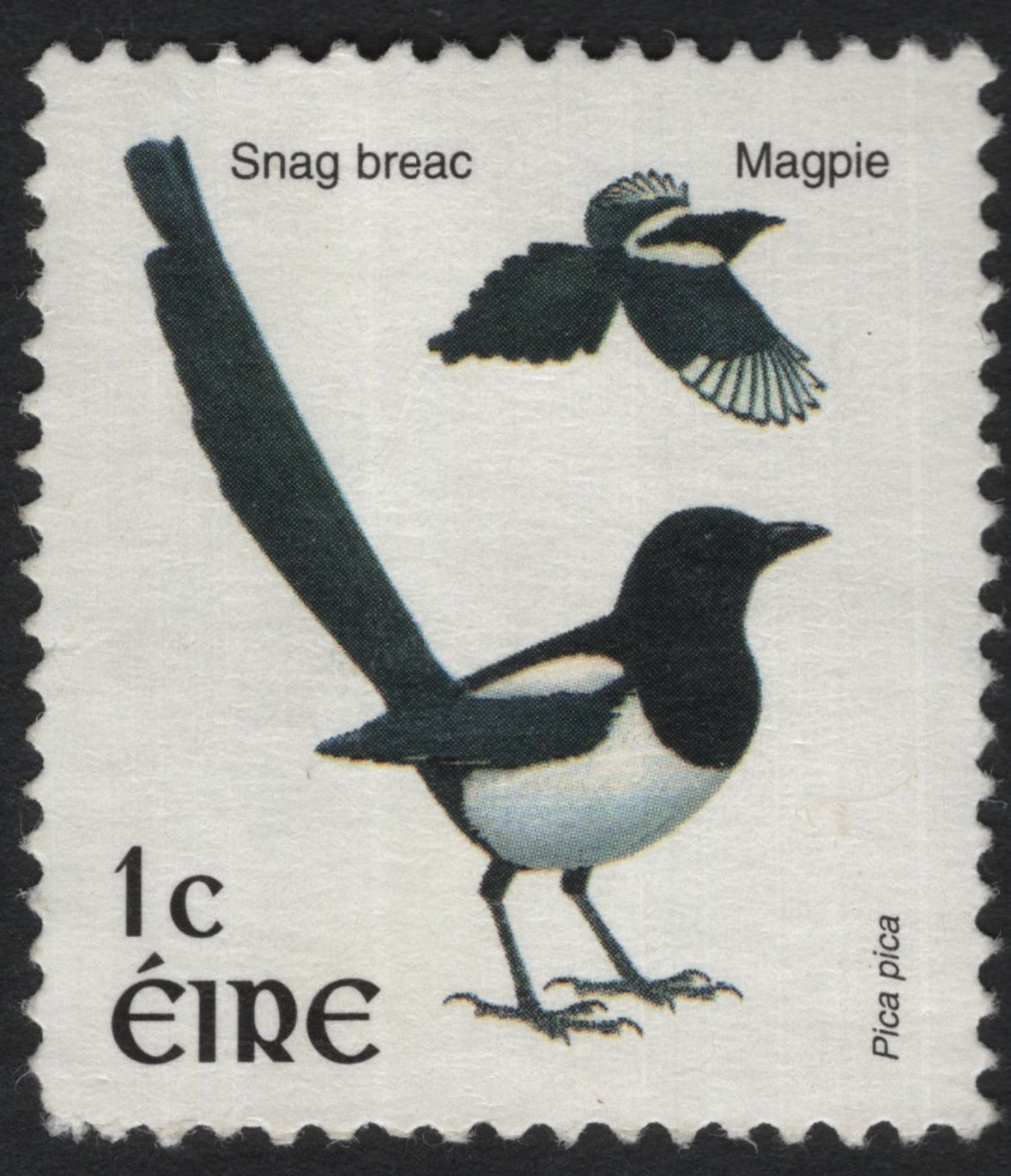 SCG5998 - Ireland 1p Magpie Stamp – “Snag breac” (1970s Bird Definitive)