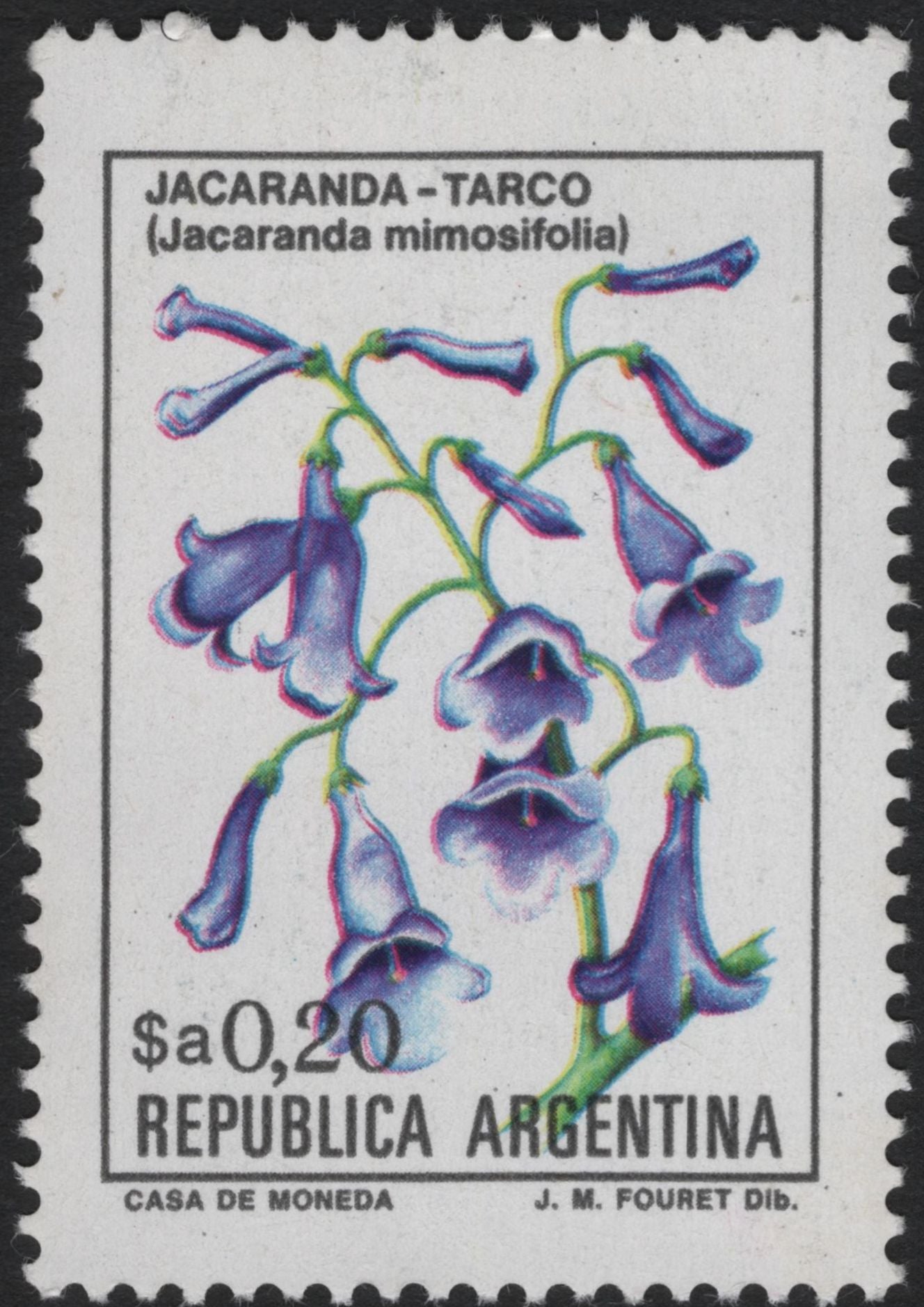 SCG5891 - Argentina Native Flora – Zinnia, Tillandsia, and Jacaranda (Floral Definitives)