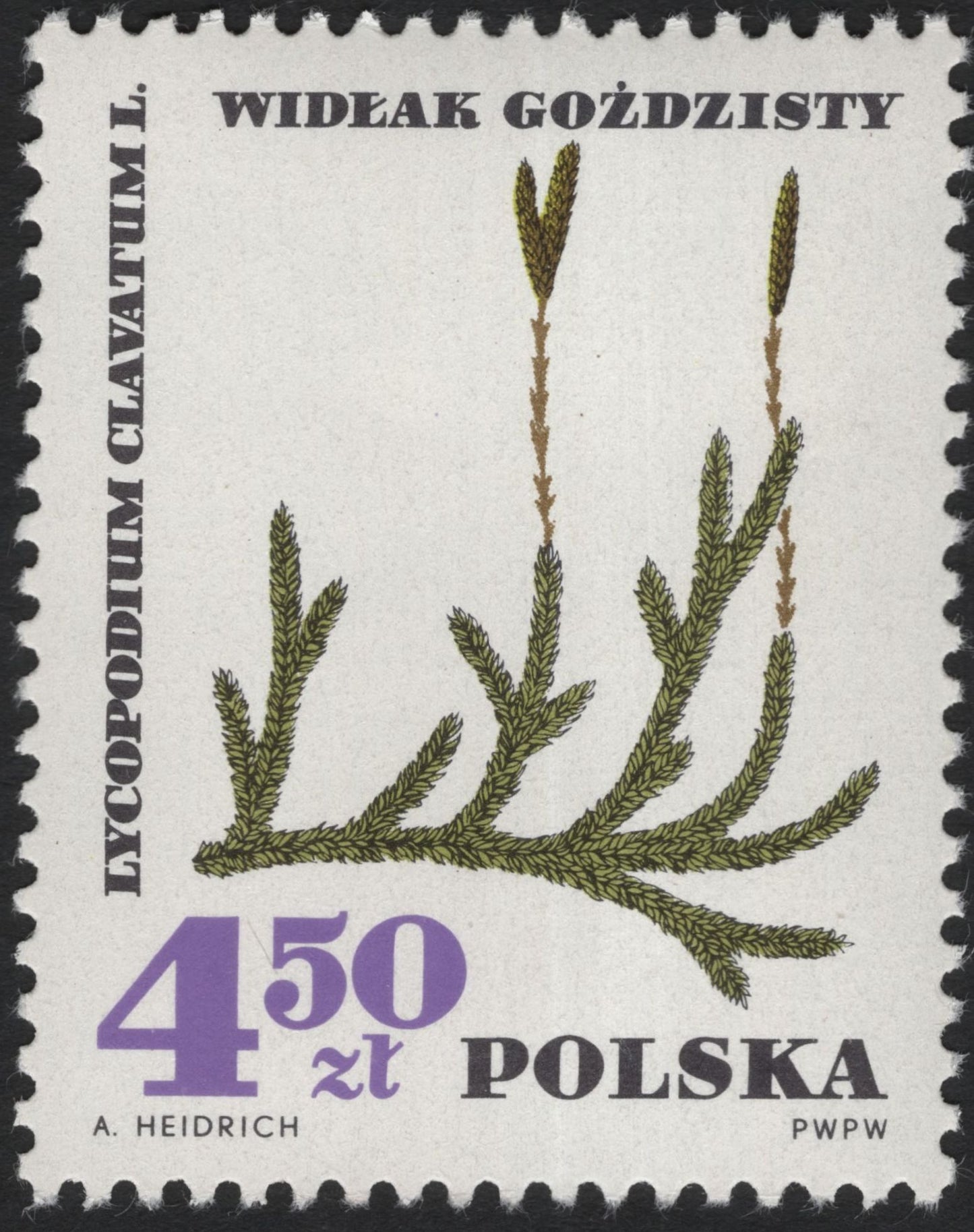 SCG5889 - 🌸 Poland 1970 – Native Flora Series (Iris sibirica & Lycopodium clavatum)